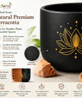 ecofynd 4.5 Inch Lotus Terracotta Pot for Indoor Plants