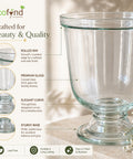 ecofynd 4.8 Inches Glass Vase for Flower Plants