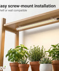 ecofynd Aira3 Grow Light – 3 Head LED Plant Light for Indoor Plants