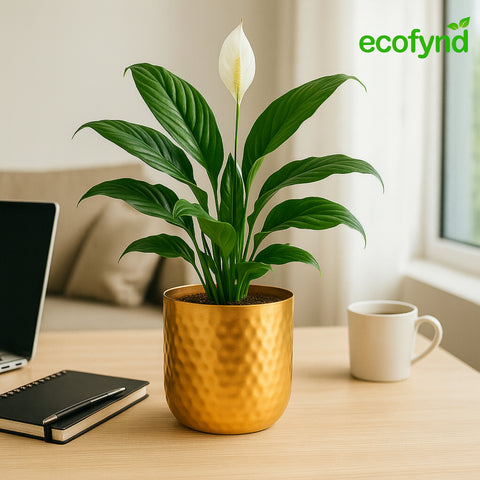 ecofynd 5 Inch Ivara Metal Plant Pots
