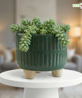 ecofynd Ecofynd Dark Green 3.5 Inch Ribbed Ceramic Cachepot Planter with Drainage Hole