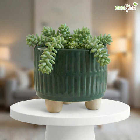 ecofynd Ecofynd Dark Green 3.5 Inch Ribbed Ceramic Cachepot Planter with Drainage Hole