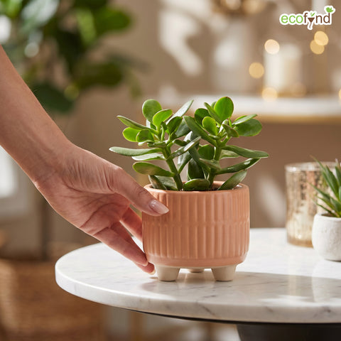 ecofynd Ecofynd Peach 3.5 Inch Ribbed Ceramic Cachepot Planter with Drainage Hole