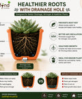 ecofynd 4 Inch Ceramic Plant Pots with Drainage Hole