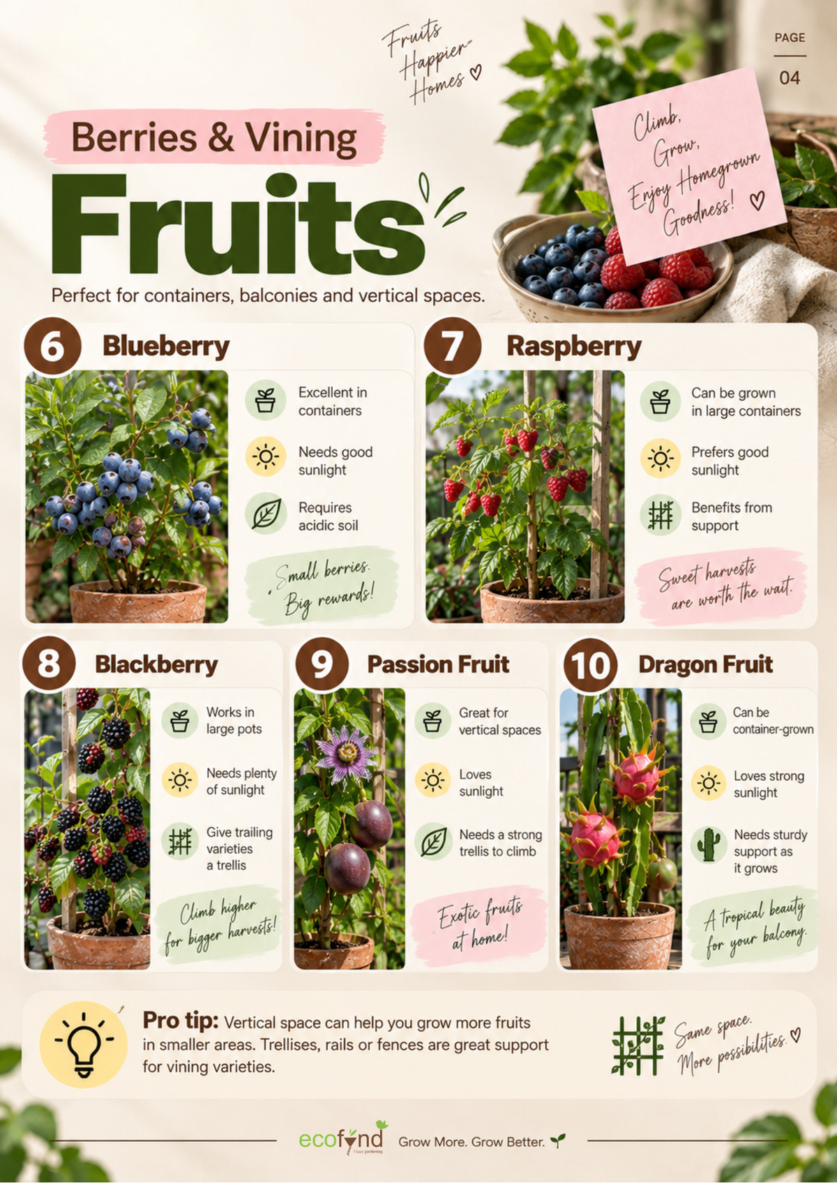Ecofynd guide featuring 5 berries and vining fruits for containers: Blueberry, Raspberry, Blackberry, Passion Fruit and Dragon Fruit