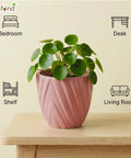 ecofynd Ecofynd Pink Twisted 4 Inch Ceramic Cachepot Planter for Indoor Plants