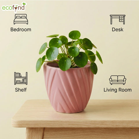 ecofynd Ecofynd Pink Twisted 4 Inch Ceramic Cachepot Planter for Indoor Plants
