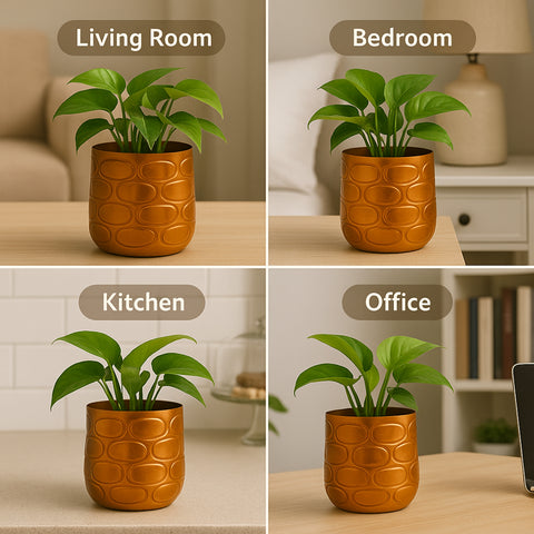 ecofynd Premium Golden Metal Planter – 7 and 5 Inch, Symmetrical Oval Design