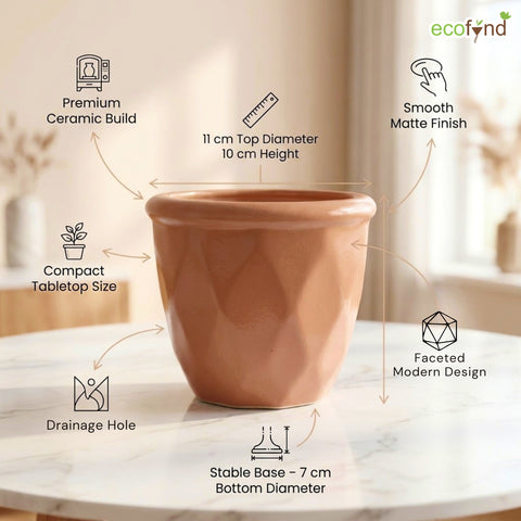 ecofynd Ecofynd Peach 4.3 Inch Cachepot Planter with Drainage Hole for Desk