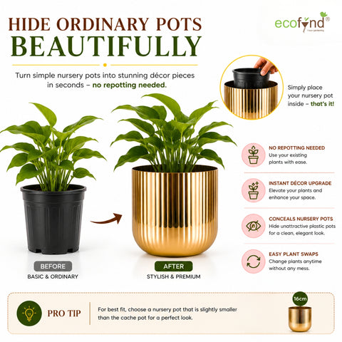 ecofynd Linea Patterned Golden Groove Planter 6.2 Inches