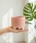 ecofynd Ecofynd Pink 3.5 Inch Ribbed Ceramic Cachepot Planter with Drainage Hole