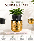 ecofynd Premium Golden Metal Planter – 5 Inch, Symmetrical Oval Design