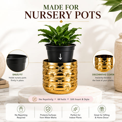 ecofynd Premium Golden Metal Planter – 5 Inch, Symmetrical Oval Design
