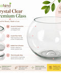 ecofynd Glass Terrarium Bowl