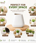 ecofynd 3.5 Inch White Ceramic Plant Pots with Drainage Hole