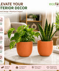 ecofynd 5 Inch Ceramic Plant Pots with Drainage Hole