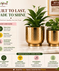 ecofynd Set of 2 Halo Ribbed Metal Planter in Symmetrical Design