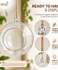 ecofynd Hanging Glass Planter – Cut Sphere Design | Clear Transparent Glass, Medium