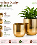 ecofynd Set of 2 Linea Patterned Golden Groove Planter – Gold Finish