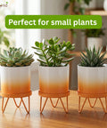 ecofynd Ecofynd Lucas Tabletop Metal Planter with Orange Stand