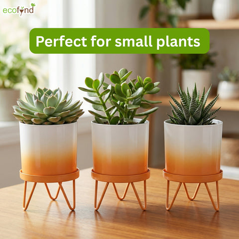 ecofynd Ecofynd Lucas Tabletop Metal Planter with Orange Stand