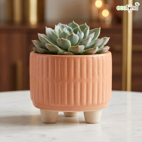 ecofynd Ecofynd Peach 3.5 Inch Ribbed Ceramic Cachepot Planter with Drainage Hole