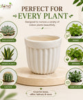 ecofynd 3.5 Inch White Ceramic Plant Pots with Drainage Hole