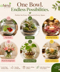 ecofynd Glass Terrarium Bowl