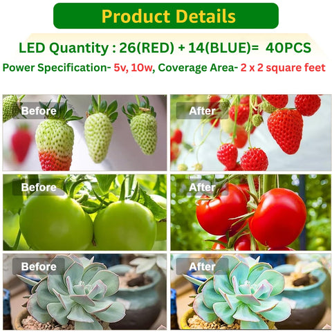 ecofynd Bluma Grow Light for Indoor Plants | Dual Spectrum LED with Adjustable Pole