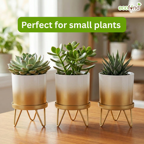 ecofynd Ecofynd Lucas Tabletop Metal Planter with Gold Stand