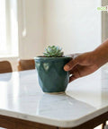 ecofynd Ecofynd Dark Green 4.3 Inch Cachepot Planter with Drainage Hole for Desk