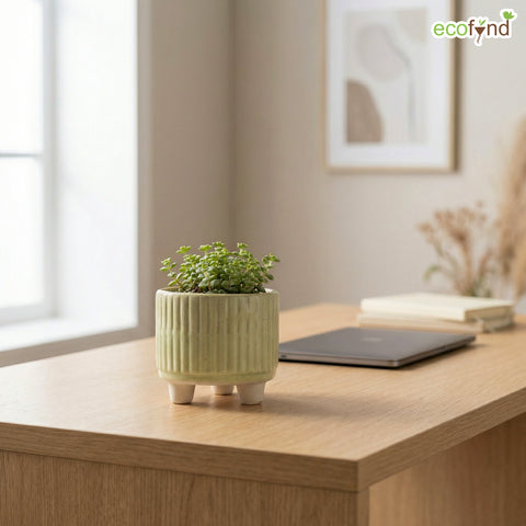 ecofynd Ecofynd Light Green 3.5 Inch Ribbed Ceramic Cachepot Planter with Drainage Hole