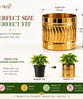 ecofynd Set of 2 Cylindrical Metal Planter – 6 Inch, Symmetrical Design
