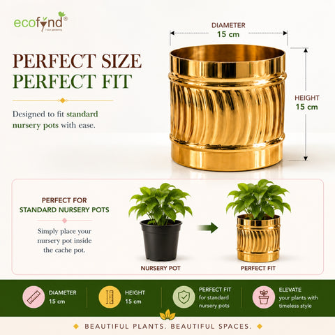 ecofynd Set of 2 Cylindrical Metal Planter – 6 Inch, Symmetrical Design