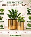 ecofynd Set of 2 Ribbed Metal Pedestal Planter – Gold Finish