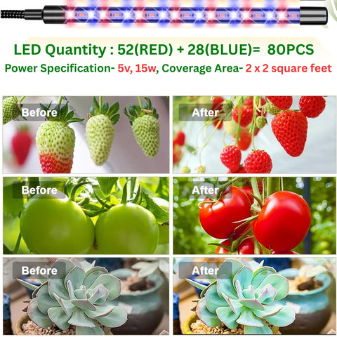 ecofynd Kaira4 Grow Light for Indoor Plants | Dual Spectrum Red & Blue LED with 4/8/12 Hour Timer