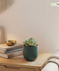 ecofynd Ecofynd Dark Green 5 inch Ceramic Cachepot Planter for Indoor Plants