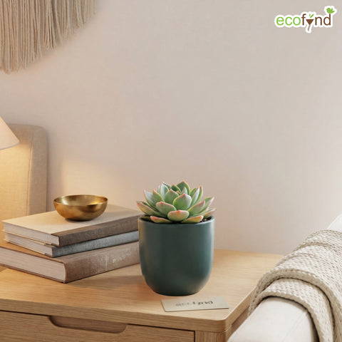 ecofynd Ecofynd Dark Green 5 inch Ceramic Cachepot Planter for Indoor Plants