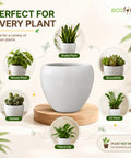 ecofynd 5.1 Inch White Ceramic Plant Pots with Drainage Hole