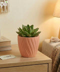 ecofynd Ecofynd Peach Twisted 4 Inch Ceramic Cachepot Planter for Indoor Plants