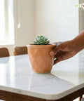 ecofynd Ecofynd Peach 4.3 Inch Cachepot Planter with Drainage Hole for Desk