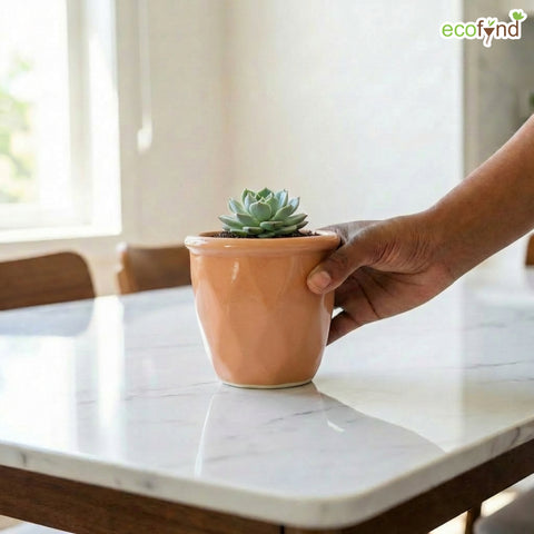ecofynd Ecofynd Peach 4.3 Inch Cachepot Planter with Drainage Hole for Desk