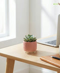 ecofynd Ecofynd Pink 3.5 Inch Ribbed Ceramic Cachepot Planter with Drainage Hole