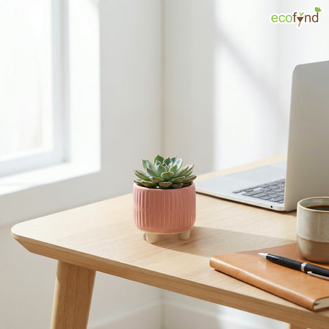 ecofynd Ecofynd Pink 3.5 Inch Ribbed Ceramic Cachepot Planter with Drainage Hole