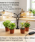 ecofynd Nysa Grow Light for Indoor Plants All-in-One (Seedlings to Fruits)