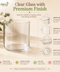 ecofynd 3.9 Inch Glass Flower Vase for Fresh & Artificial Flowers