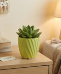 ecofynd Ecofynd Light Green Twisted 4 Inch Ceramic Cachepot Planter for Indoor Plants
