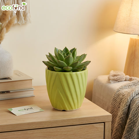 ecofynd Ecofynd Light Green Twisted 4 Inch Ceramic Cachepot Planter for Indoor Plants