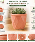 ecofynd 4 Inch Ceramic Plant Pots with Drainage Hole