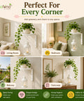 ecofynd 4 Pack Cora Wall Mounted Metal Plant Stand with Hanging Hook